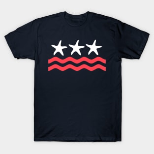 Beach Flag T-Shirt